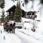 Appartement In Near Slopes